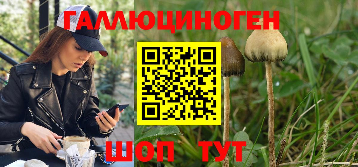 Галлюциногенные грибы MAGIC MUSHROOMS Елизово